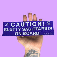Image 13 of Zodiac Bumper Stickers