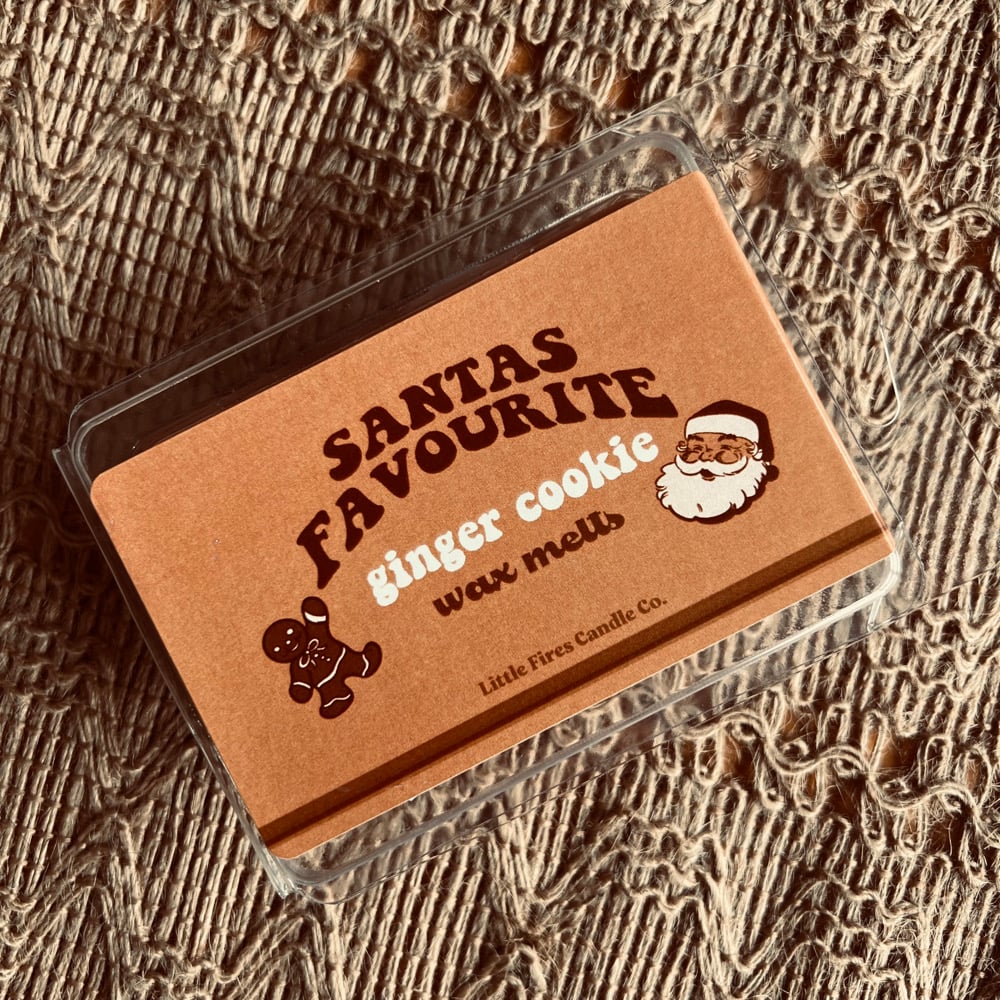 Image of Christmas Wax melts 