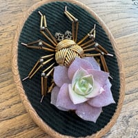 Image 1 of Succulent spider (b, 4x5 inches)