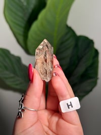 Image 9 of CHOOSE YOUR OWN NATURAL (UNPOLISHED) QUARTZ POINT -BRAZIL-