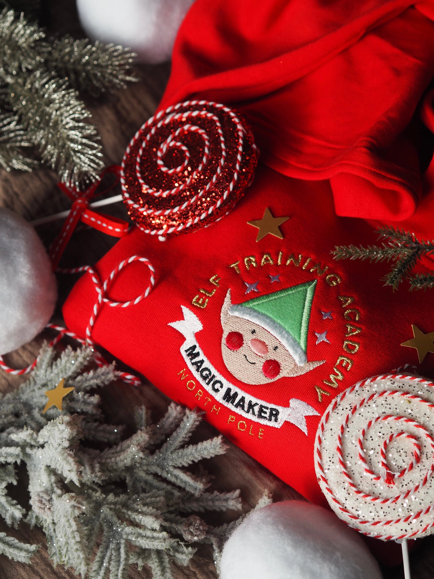 Image of Elf Training Academy - Red Hoody