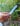 Carbon steel butter knife