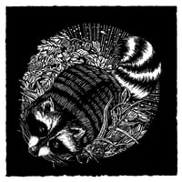 Image 1 of Raccoon & Gooseberries