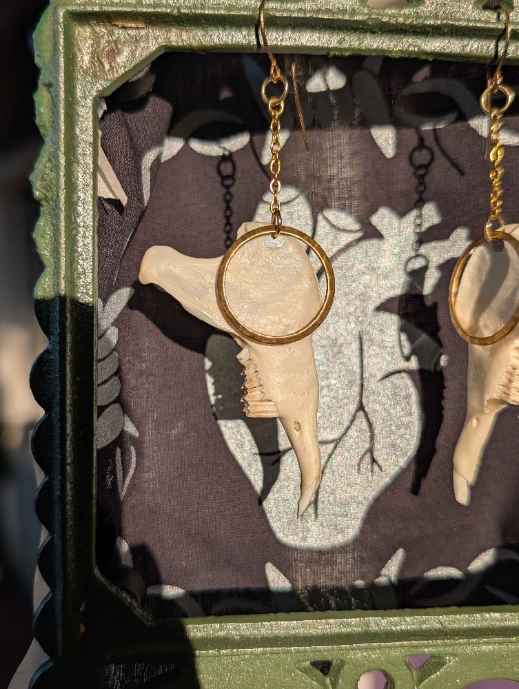 Image of rabbit jawbone earrings