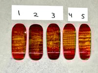 Image 2 of 59’ Sunburst Collection 