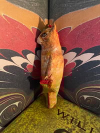 Image 2 of Freckles the cat