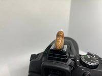 Image 5 of Kiwi Hotshoe Cover