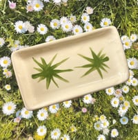 Image 1 of Palm Plate