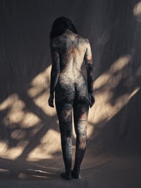 The Viaduc Series 1/3