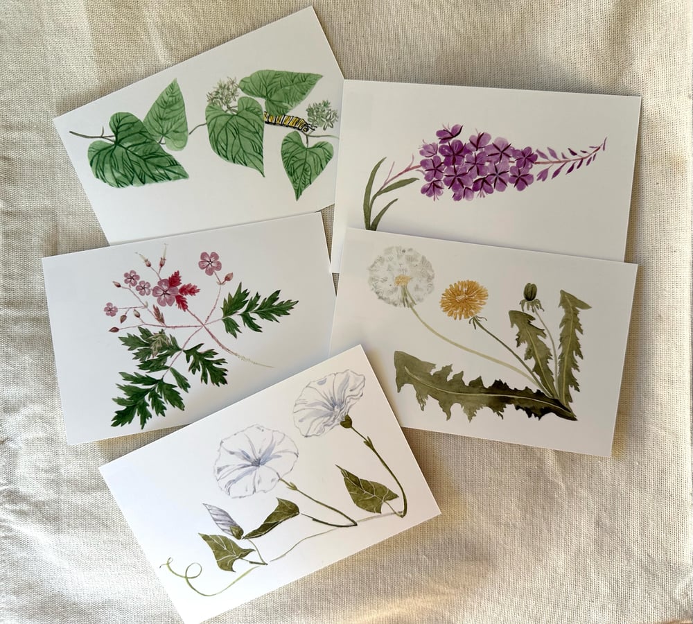 Image of Weeds Postcards