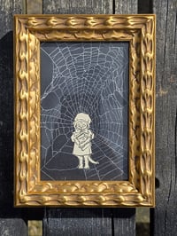 Image 2 of Antique Cat Collection - Cat engravings with real preserved web- L