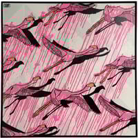 Miami Flamingos (2025)