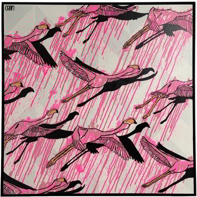 Miami Flamingos (2025)