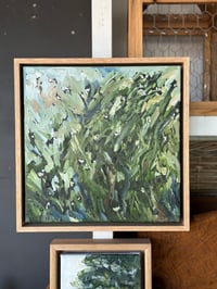 Image 1 of Verdant by Monique Correy