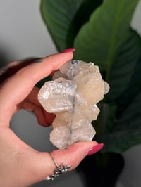 Image 4 of BOWTIE STILBITE X DIAMOND APOPHYLITE -INDIA- A