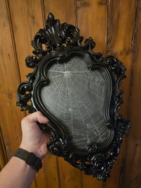 Image 6 of Antique ornate frame with a real preserved walnut orbwiever spider web 