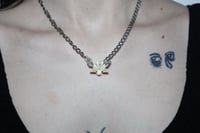 Boa Constrictor Spine Amulet