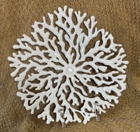 Image 1 of 18” Coral Bowl