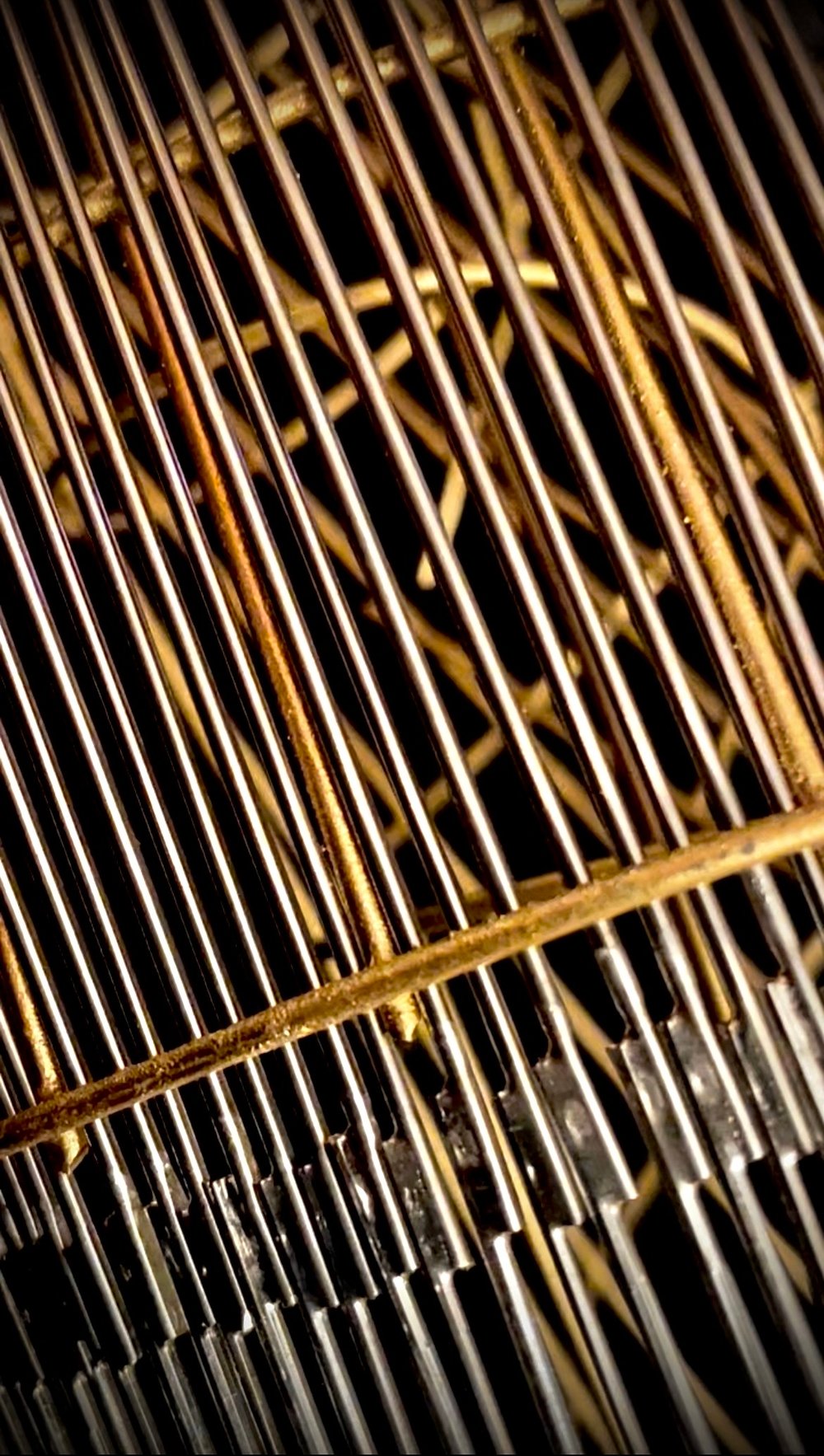Image of sharps chandelier