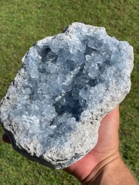 Image 7 of Celestite Cluster #1800