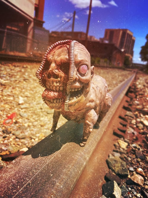 Image of First Edition Zipperface Pigman 