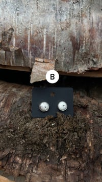 Image 2 of White buffalo post earrings