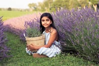 Lavender Field July 11 and 19