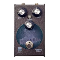 Image 1 of Madhura Chorus