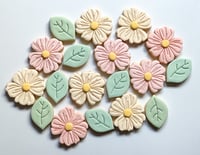 Blooms 