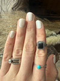 Image 3 of The Midnight Range