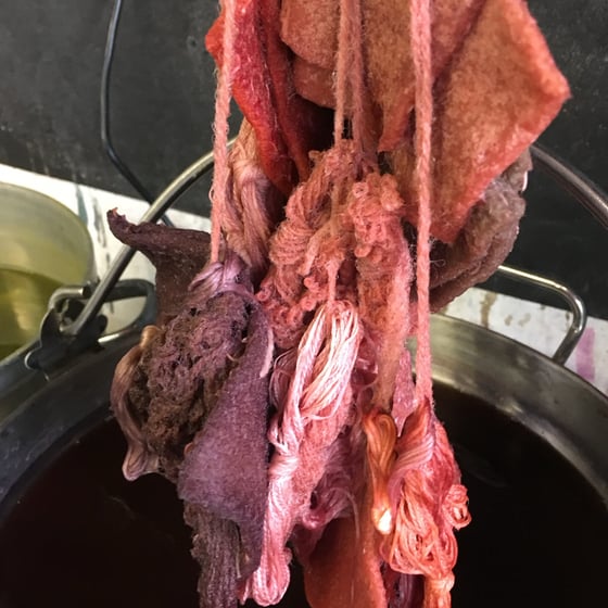 Image of Madder Root