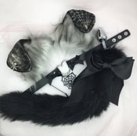 Halloween Kitten web Set 