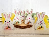 Image 1 of Baby Carrot Bunny
