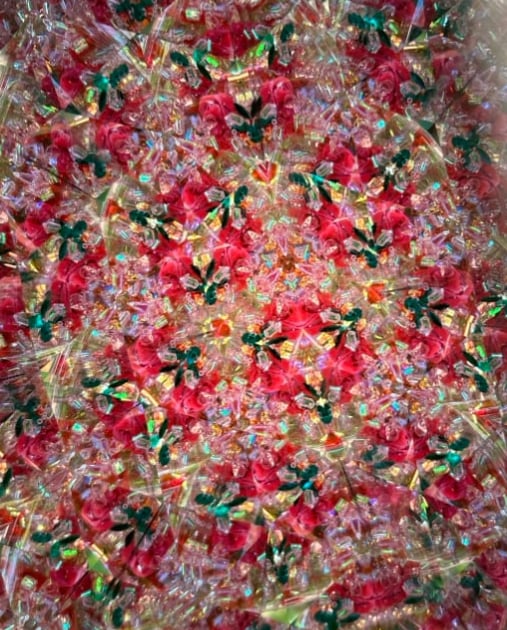 Image of Red Rose Garden AuraScope