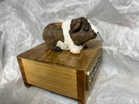 Image 10 of Custom Engraved Guinea Pig Urn Custom HandPainted To Your Photos