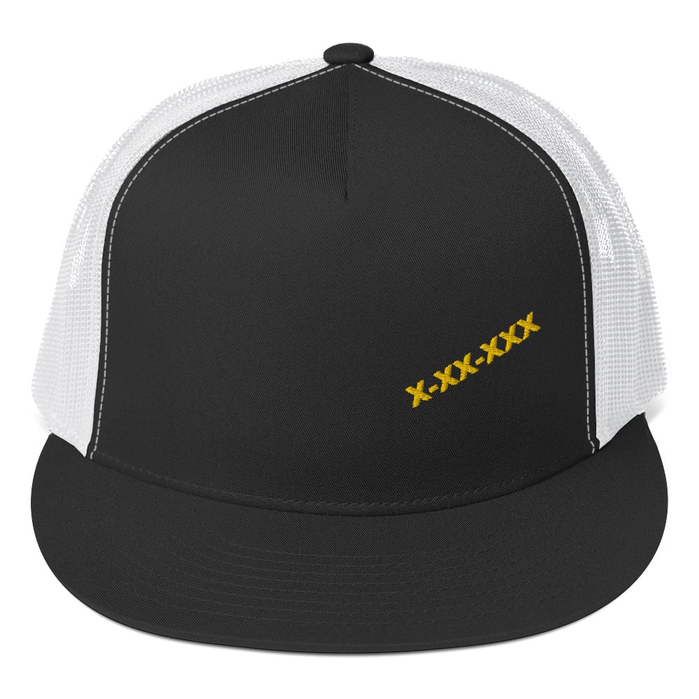 V PANEL TRUCKER HAT