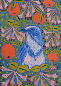Image 5 of FLA Native Birds Cards | set of 5