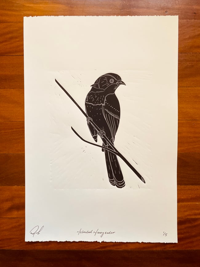 Helmeted Honeyeater (Super Limited Edition)