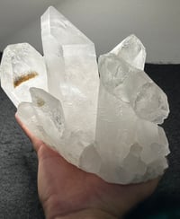 Image 9 of Clear Quartz Points Cluster With Chlorite Inclusions Statement Piece #2543
