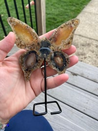 Image 6 of Butterfly Agate