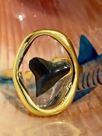 Image 2 of Shark Tooth Ring