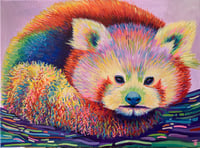 Image 1 of The Rainbow Red Panda