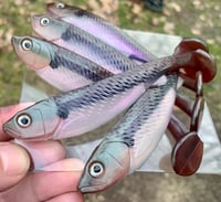 Image 2 of 5" G5 Hand Poured Swimbaits - MAJESTIC MINNOW