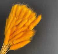 Image 2 of Colourful bunny tails 