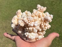 Image 6 of Calcite Crystal Cluster Reef Formation Specimen #1235