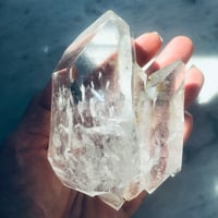 Image 2 of DT COLOMBIAN TRIPLE LEMURIAN