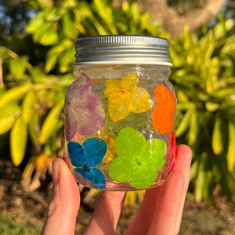 Image of lil rainbow hydrangea jar