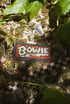 BOWIE patch Image 2
