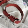 Fire Hose Pet Collar