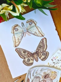 Image 3 of Mirror Moths ORIGINAL ARTWORK